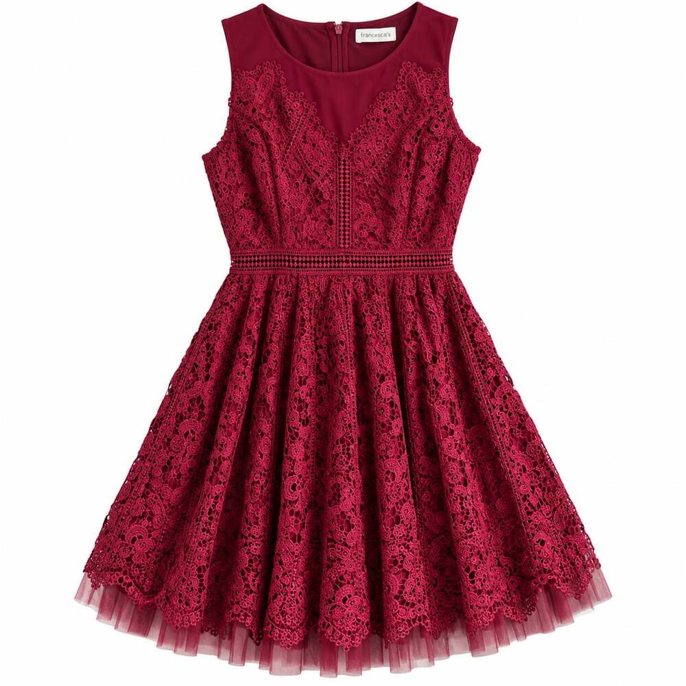 Francesca's Burgundy Floral Lace Fit & Flare Cocktail Dress Size L